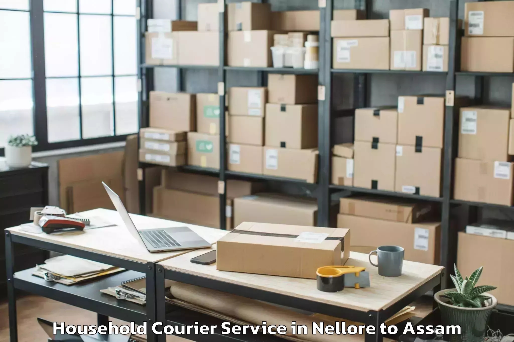 Book Your Nellore to Dudhnai Household Courier Today